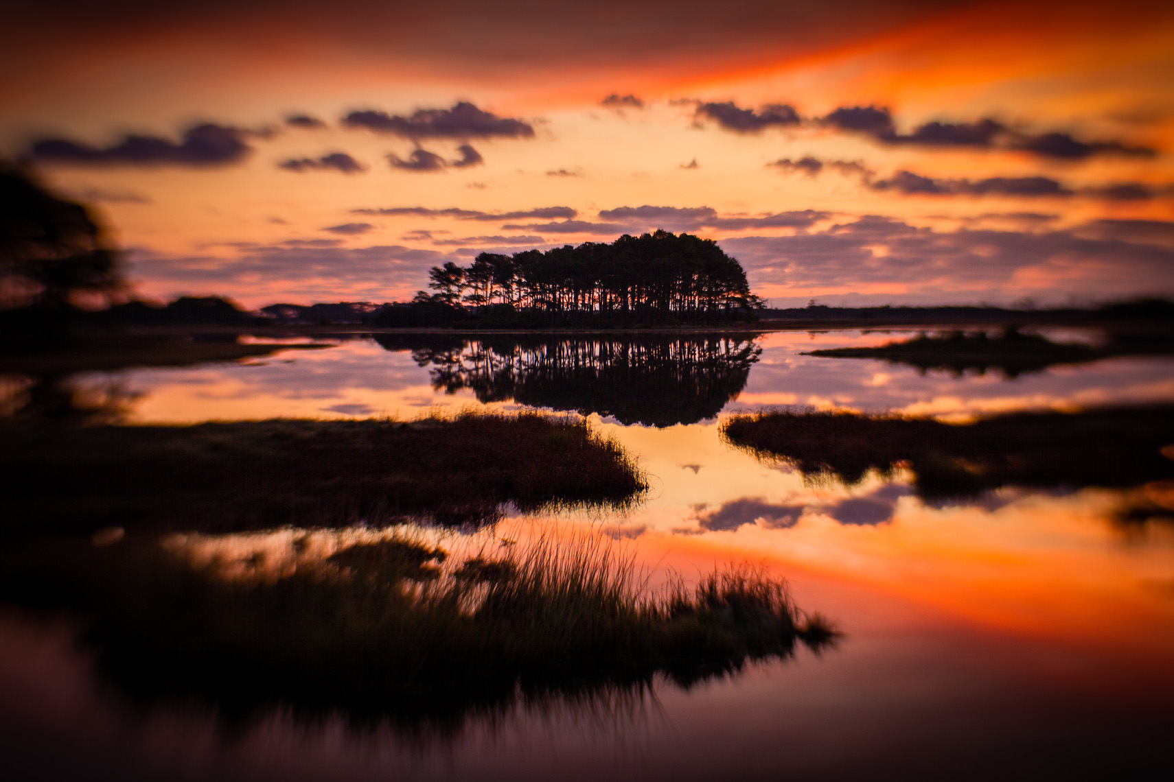 111031_Chincoteague_189.jpg