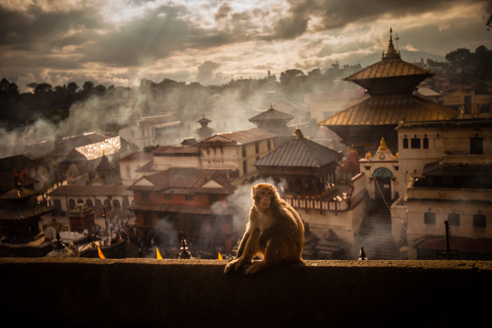 Pashupatinath Hindu Temple | Kathmandu, Nepal